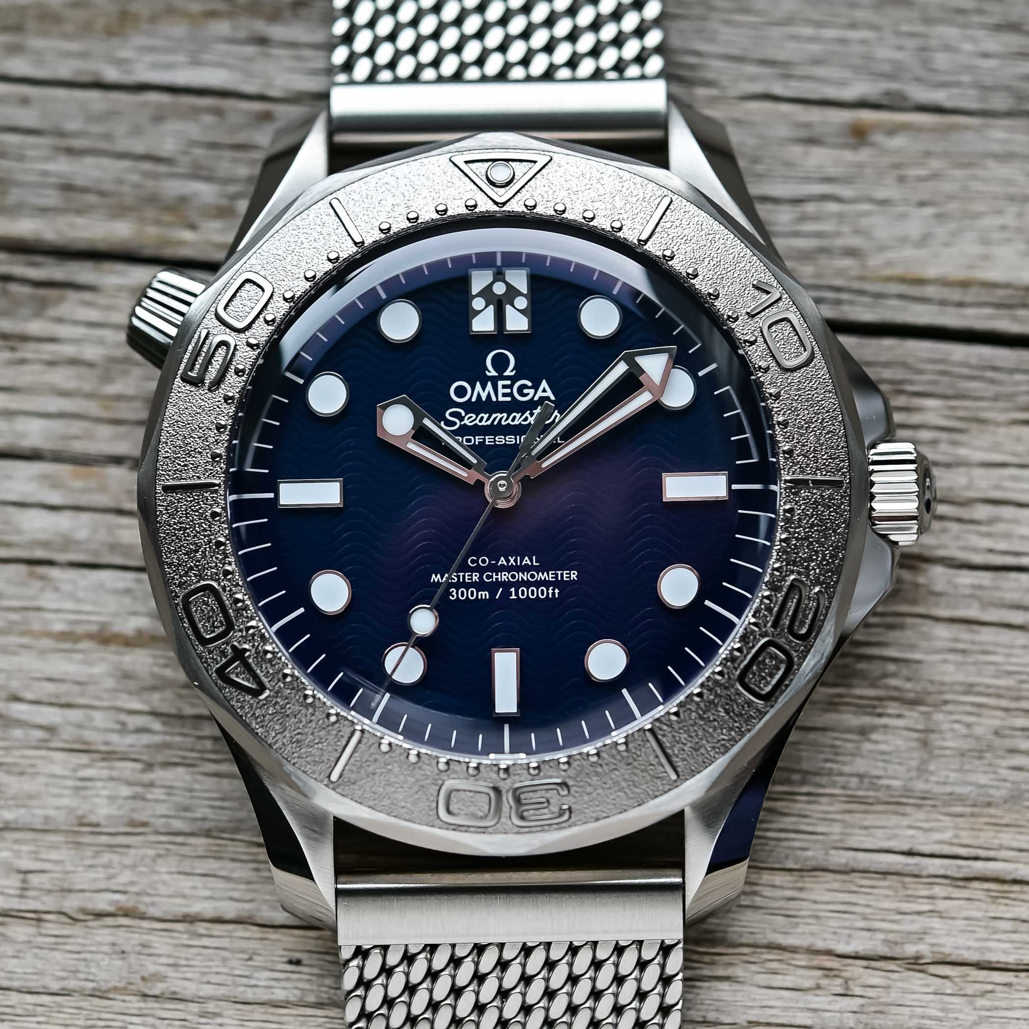 Seamaster Diver